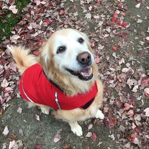 Meet your Posher, Bob